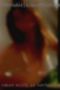 Naked milf's in jeferson conty wanted local.